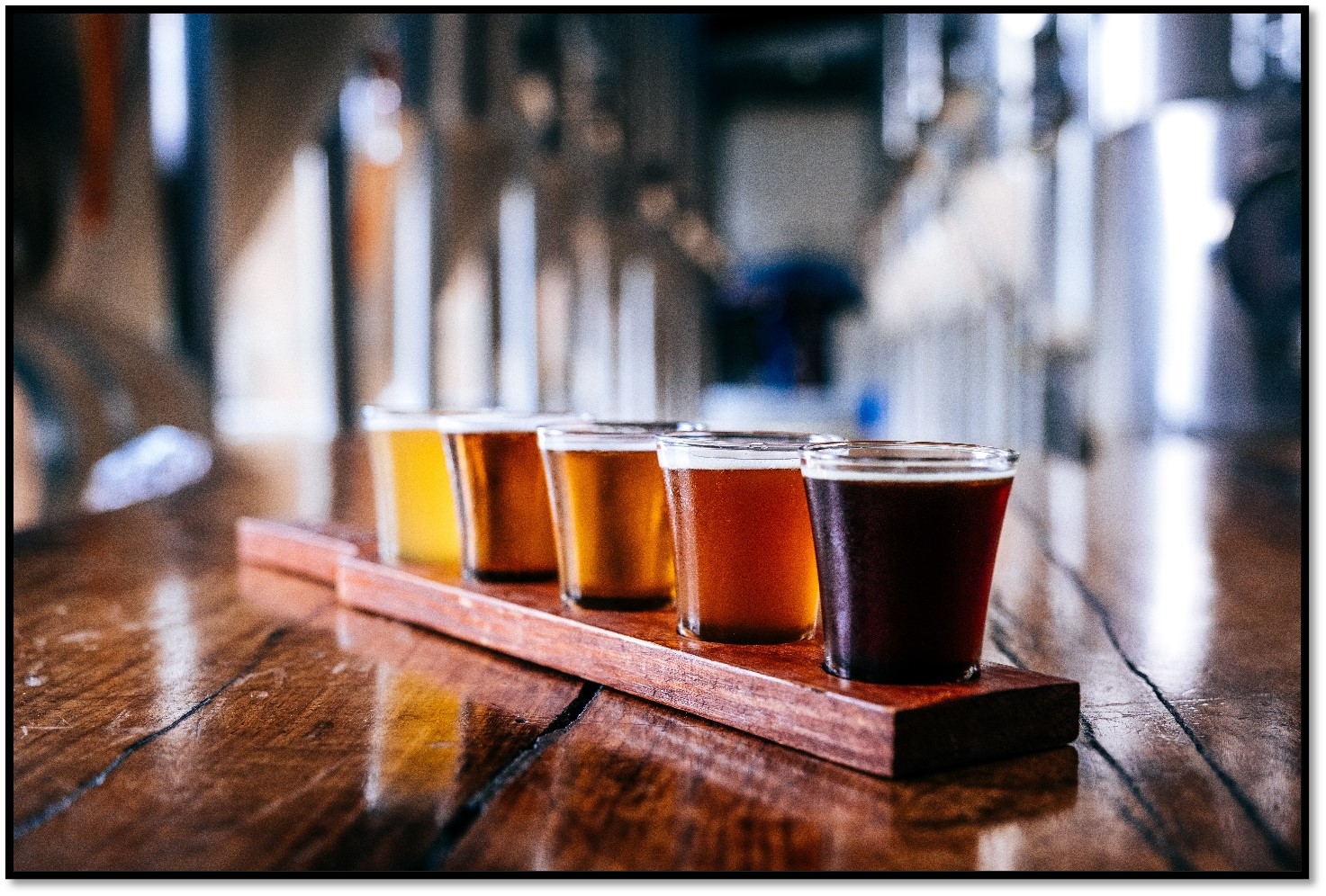 Belgian beer tasting